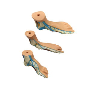 Lot de 3 pieds anatomiques My Podologie