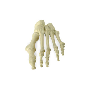 Pied plastique physiologique Herbitas