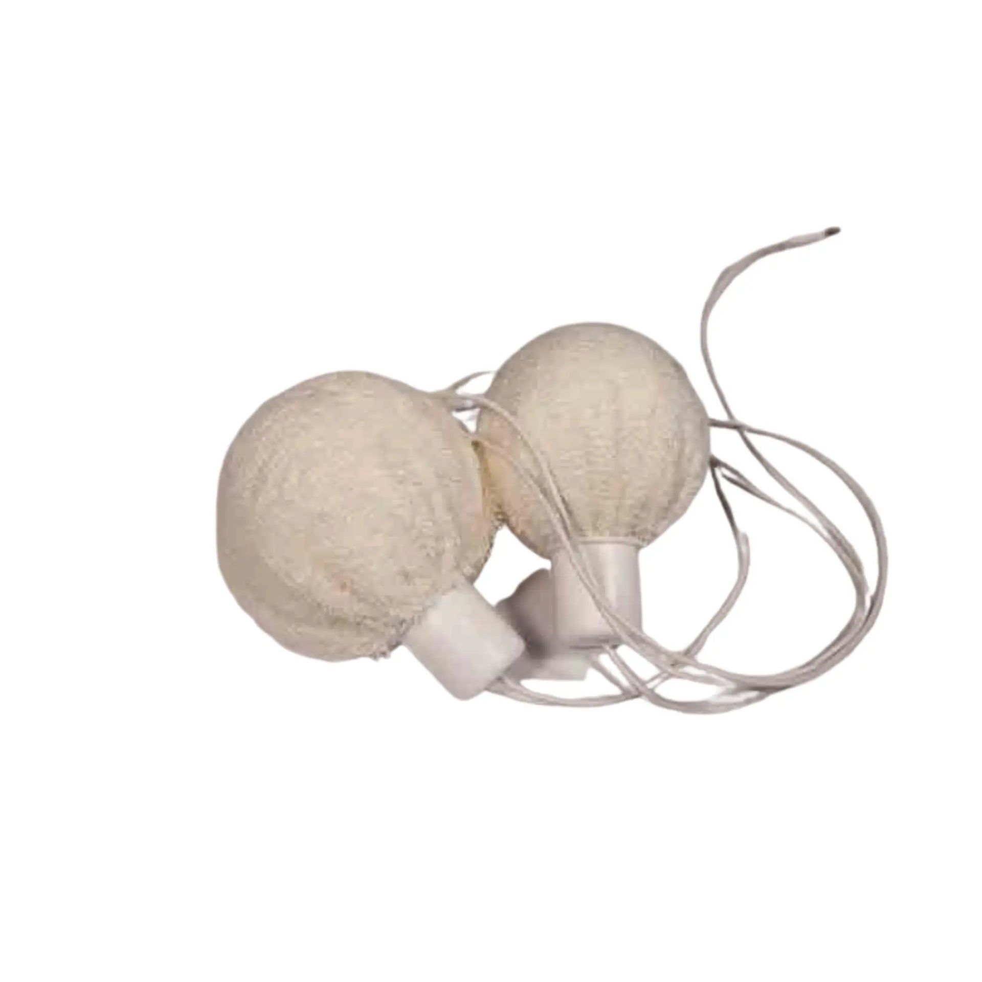 Axilla Electrodes Kit compatible with I2m.A iontophoresis devices - I2M Laboratoires I2M Laboratoires 