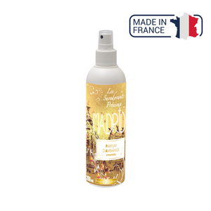 Parfum d'ambiance Surodorant précieux - 2 contenances / 4 senteurs - Sodel Propre Odeur 